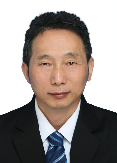 av在线观看