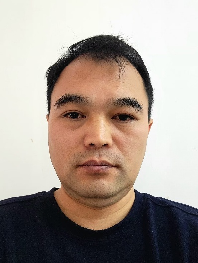 av在线观看