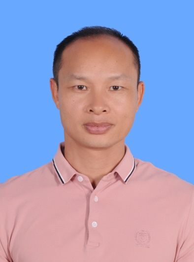 av在线观看