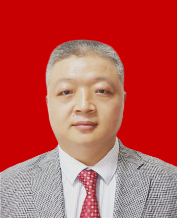av在线观看