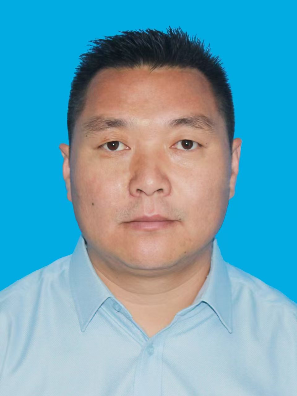 av在线观看