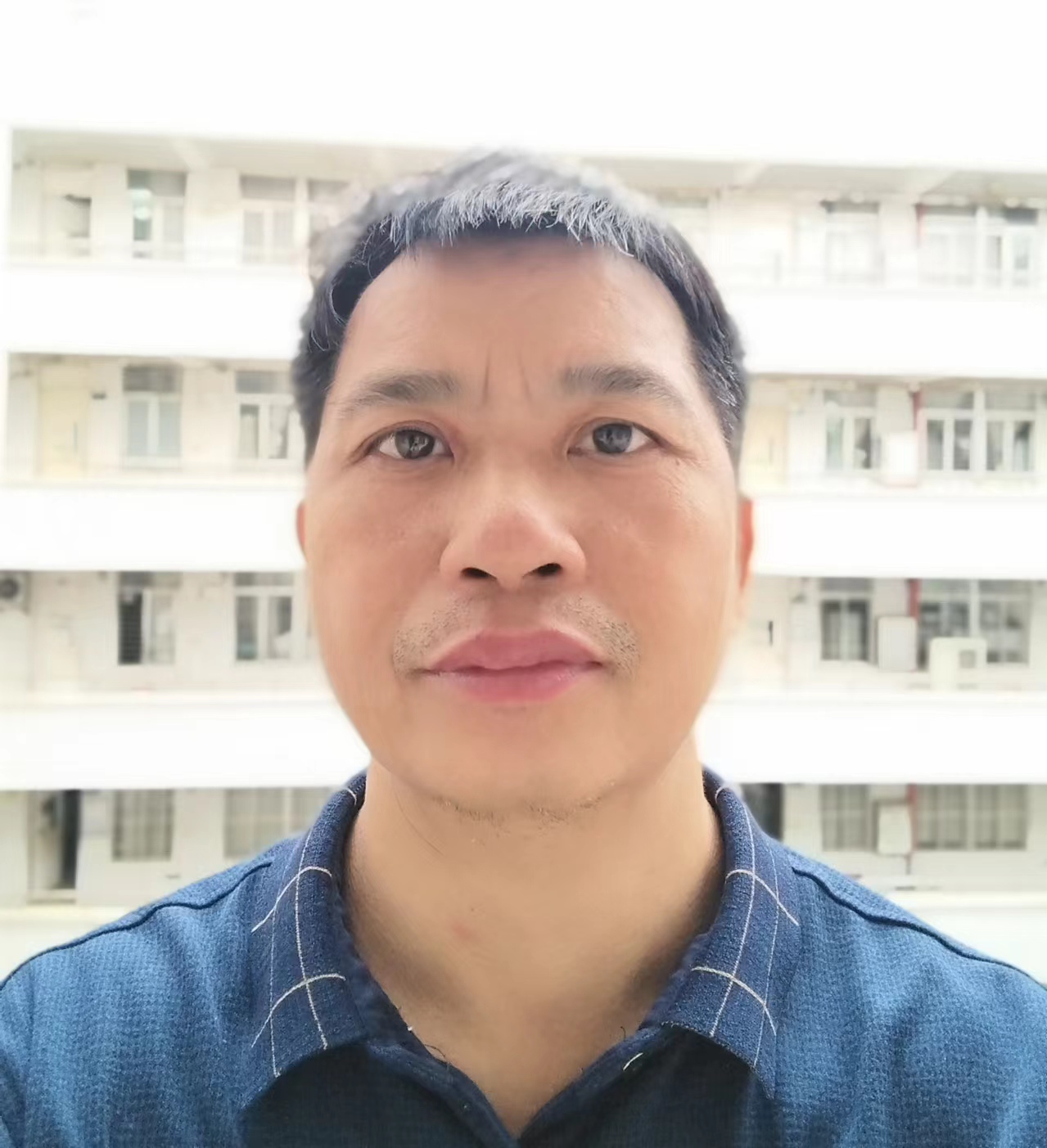 av在线观看